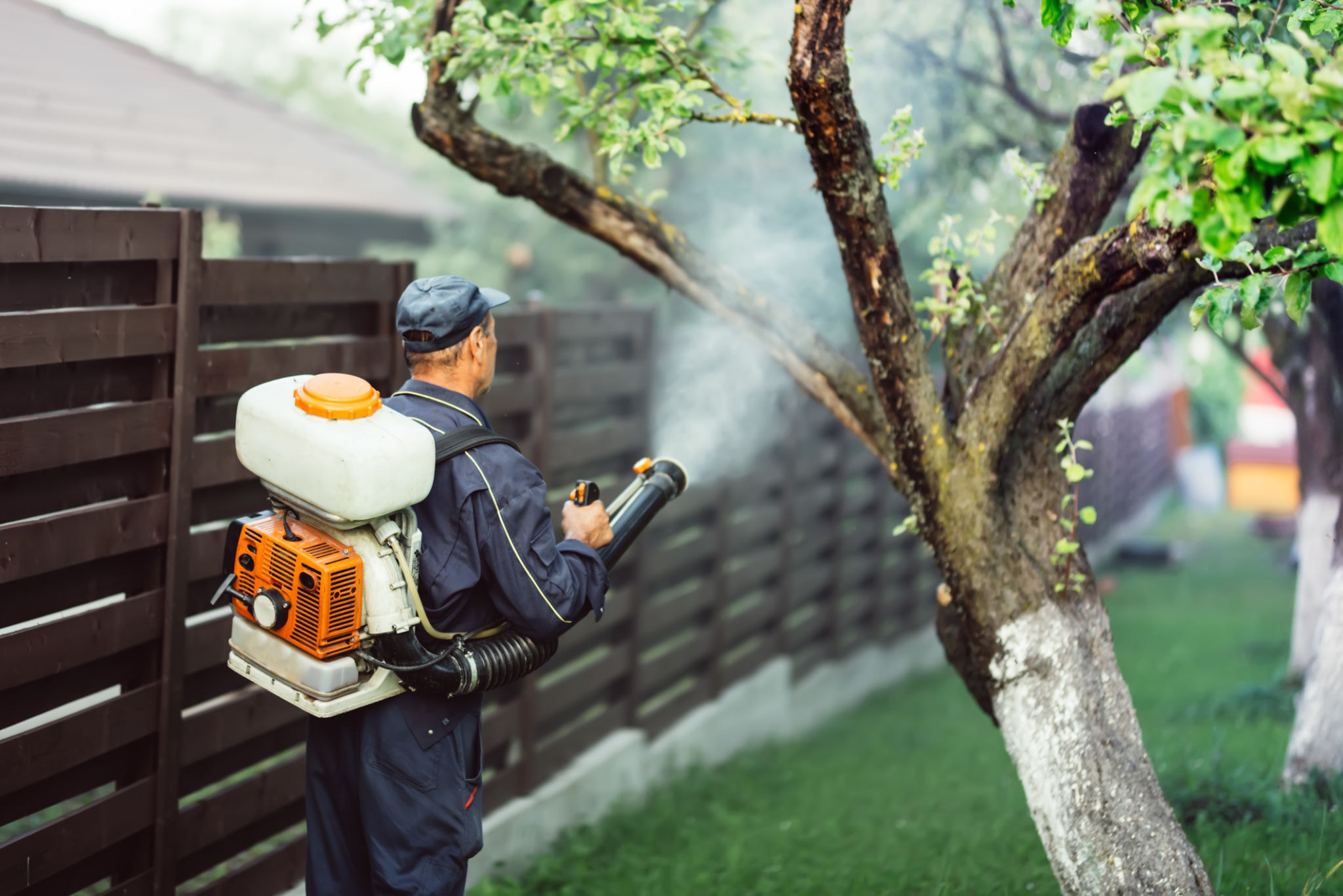 Mosquito Management