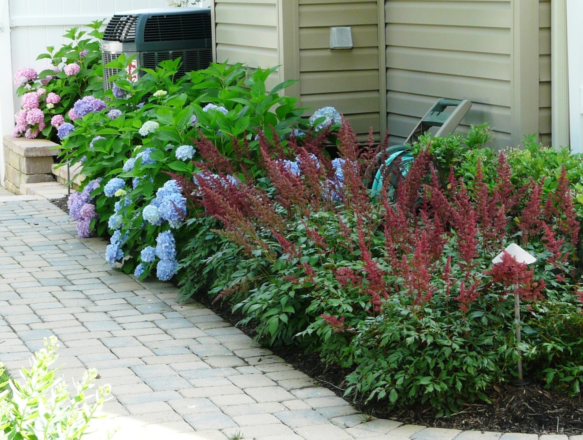 Tree & Shrub Care